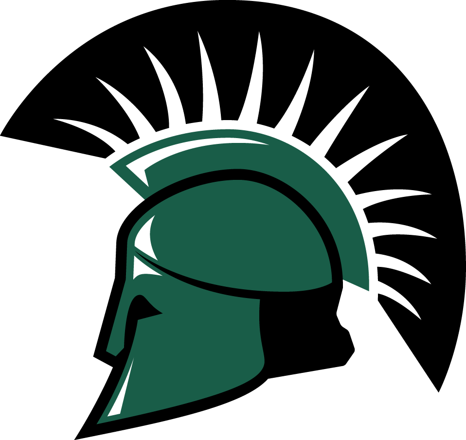 USC Upstate Spartans 2009-2010 Primary Logo iron on transfers for fabric